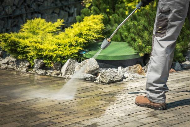 Best Playground Equipment Cleaning  in Little Falls, NY